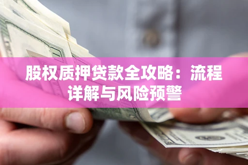 武汉股权质押贷款全攻略：流程详解与风险预警