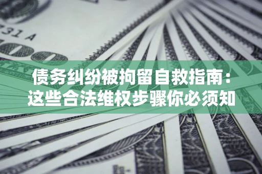 武汉债务纠纷被拘留自救指南：这些合法维权步骤你必须知道！