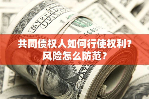 武汉共同债权人如何行使权利？风险怎么防范？