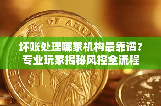 武汉坏账处理哪家机构最靠谱？专业玩家揭秘风控全流程