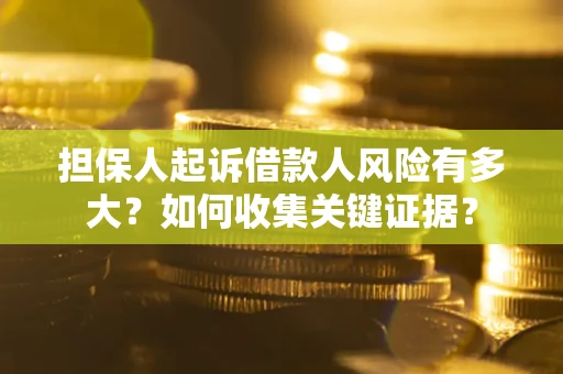 武汉担保人起诉借款人风险有多大？如何收集关键证据？