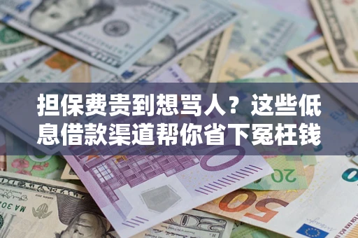武汉担保费贵到想骂人？这些低息借款渠道帮你省下冤枉钱