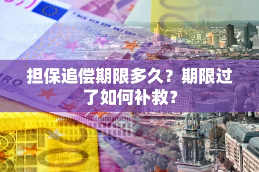 武汉担保追偿期限多久？期限过了如何补救？