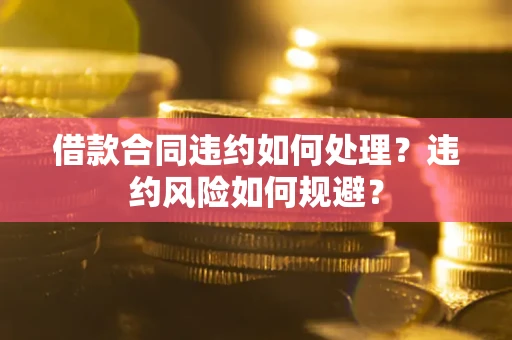 武汉借款合同违约如何处理？违约风险如何规避？