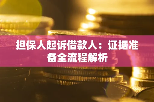 武汉担保人起诉借款人：证据准备全流程解析