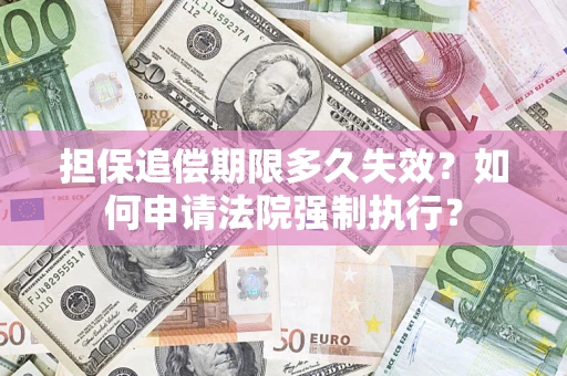 武汉担保追偿期限多久失效？如何申请法院强制执行？
