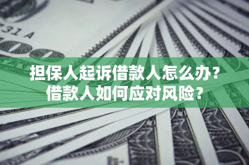武汉担保人起诉借款人怎么办？借款人如何应对风险？