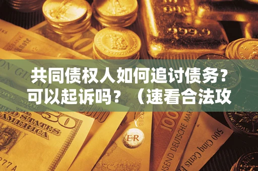 武汉共同债权人如何追讨债务？可以起诉吗？（速看合法攻略）