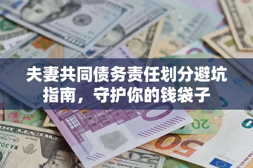 武汉夫妻共同债务责任划分避坑指南，守护你的钱袋子