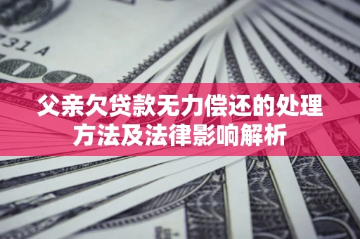 武汉父亲欠贷款无力偿还的处理方法及法律影响解析