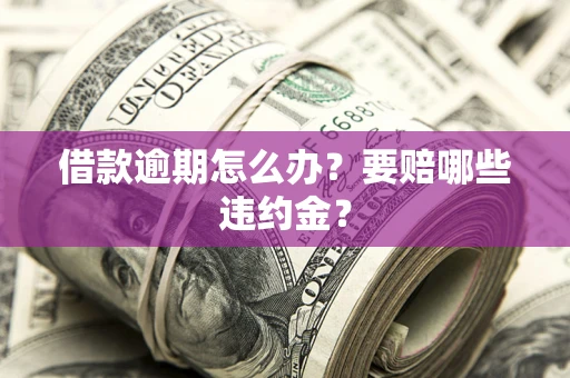 武汉借款逾期怎么办？要赔哪些违约金？