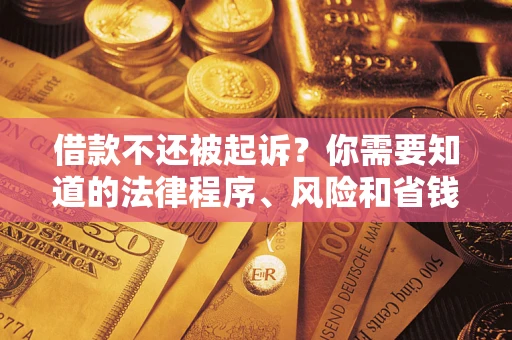 武汉借款不还被起诉？你需要知道的法律程序、风险和省钱技巧
