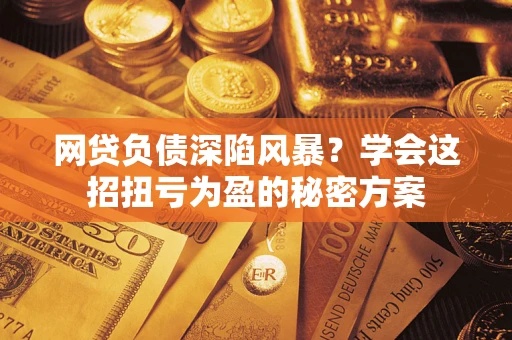 武汉网贷负债深陷风暴？学会这招扭亏为盈的秘密方案