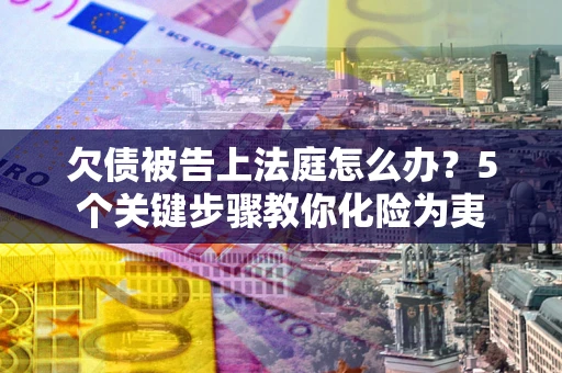 武汉欠债被告上法庭怎么办？5个关键步骤教你化险为夷